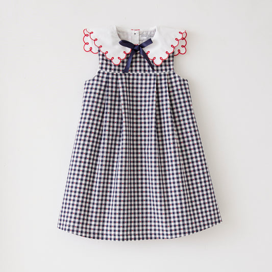 Startsmart Navy Gingham Dress